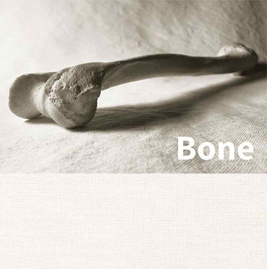 squid bone
